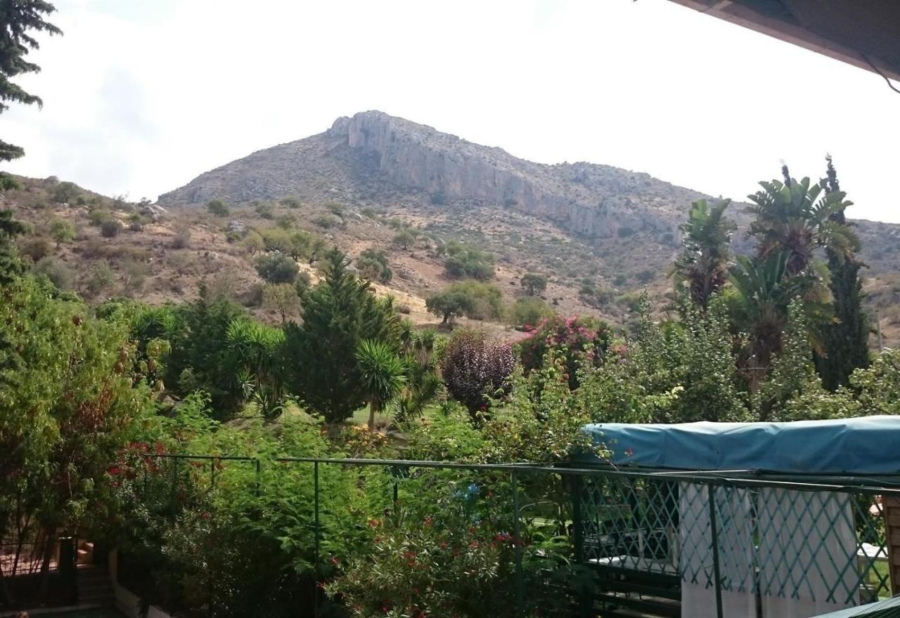 Finca Santa Matilde Málaga Dış mekan fotoğraf