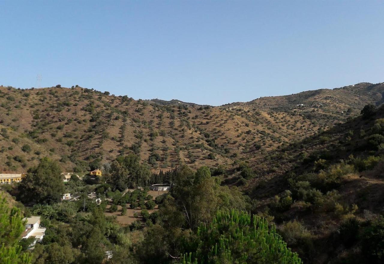 Finca Santa Matilde Málaga Dış mekan fotoğraf