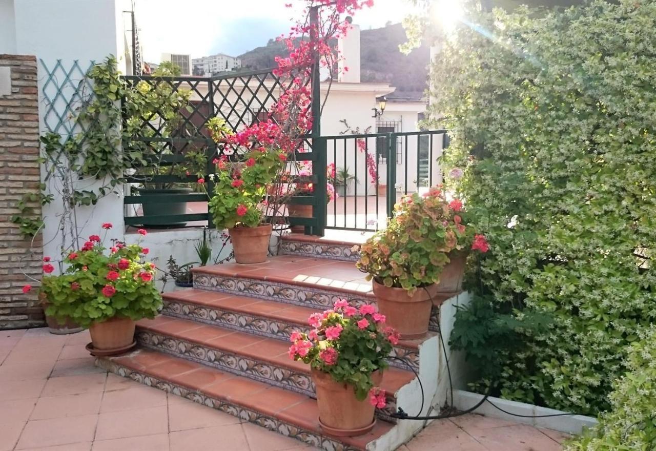 Finca Santa Matilde Málaga Dış mekan fotoğraf