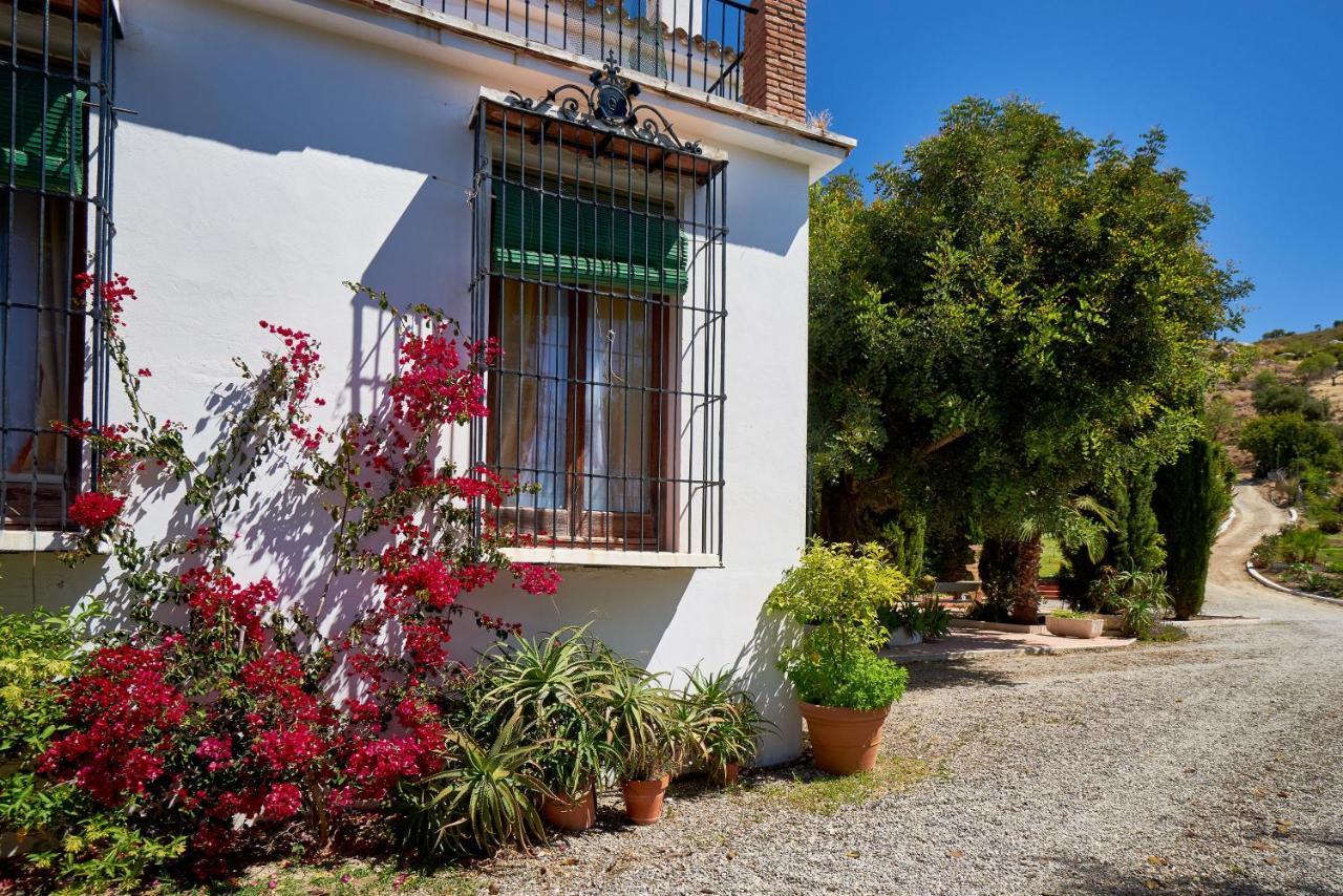 Finca Santa Matilde Málaga Dış mekan fotoğraf