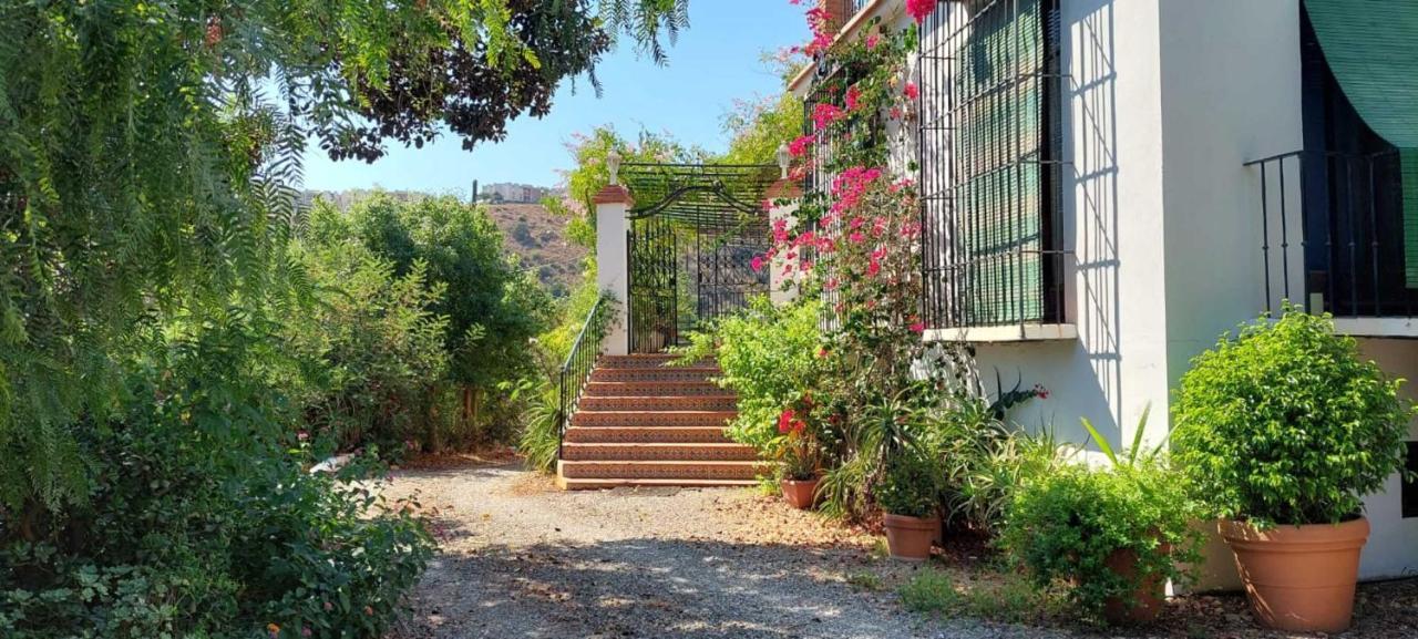 Finca Santa Matilde Málaga Dış mekan fotoğraf