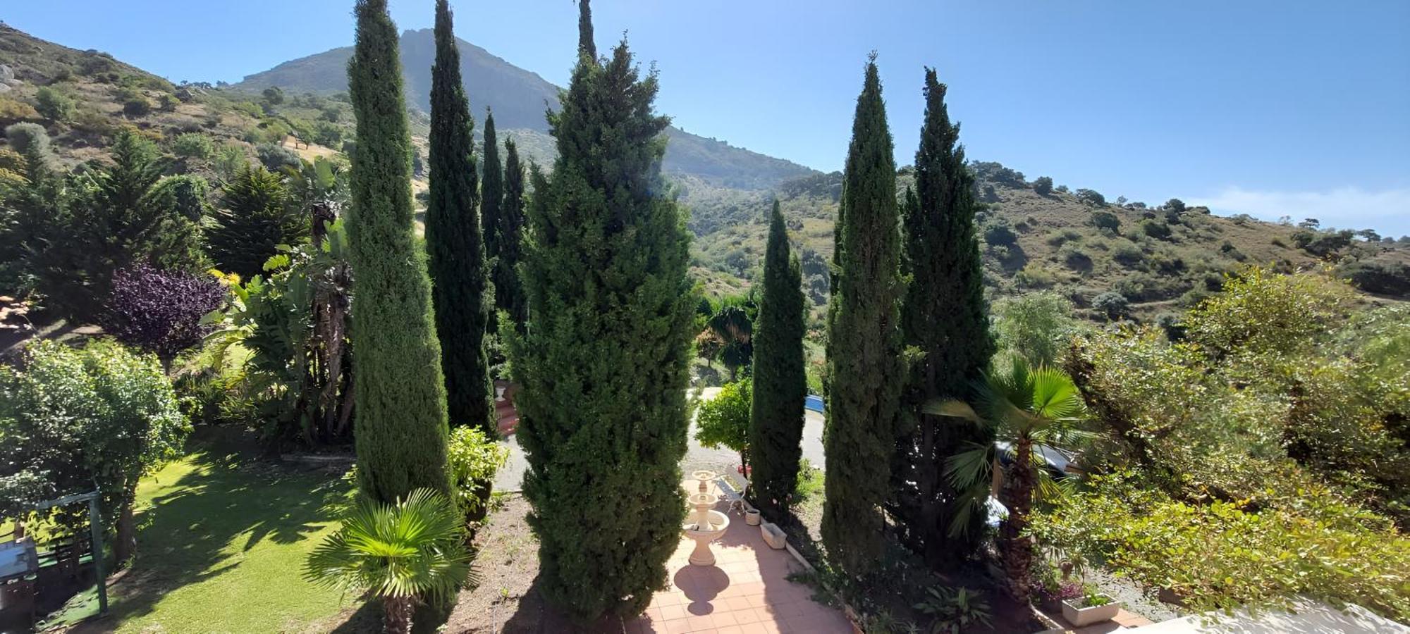 Finca Santa Matilde Málaga Dış mekan fotoğraf